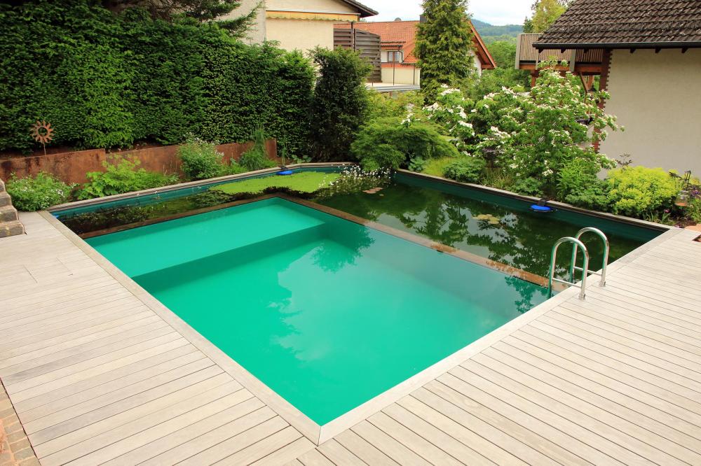 piscine-naturelle-Hérault.jpg