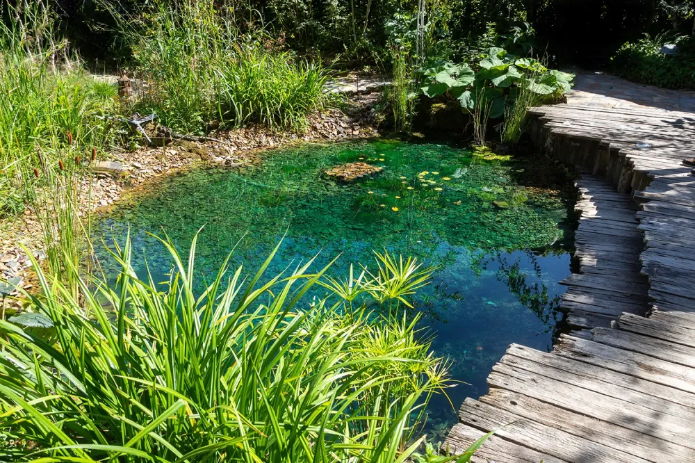 Univers aquatique près de Nîmes