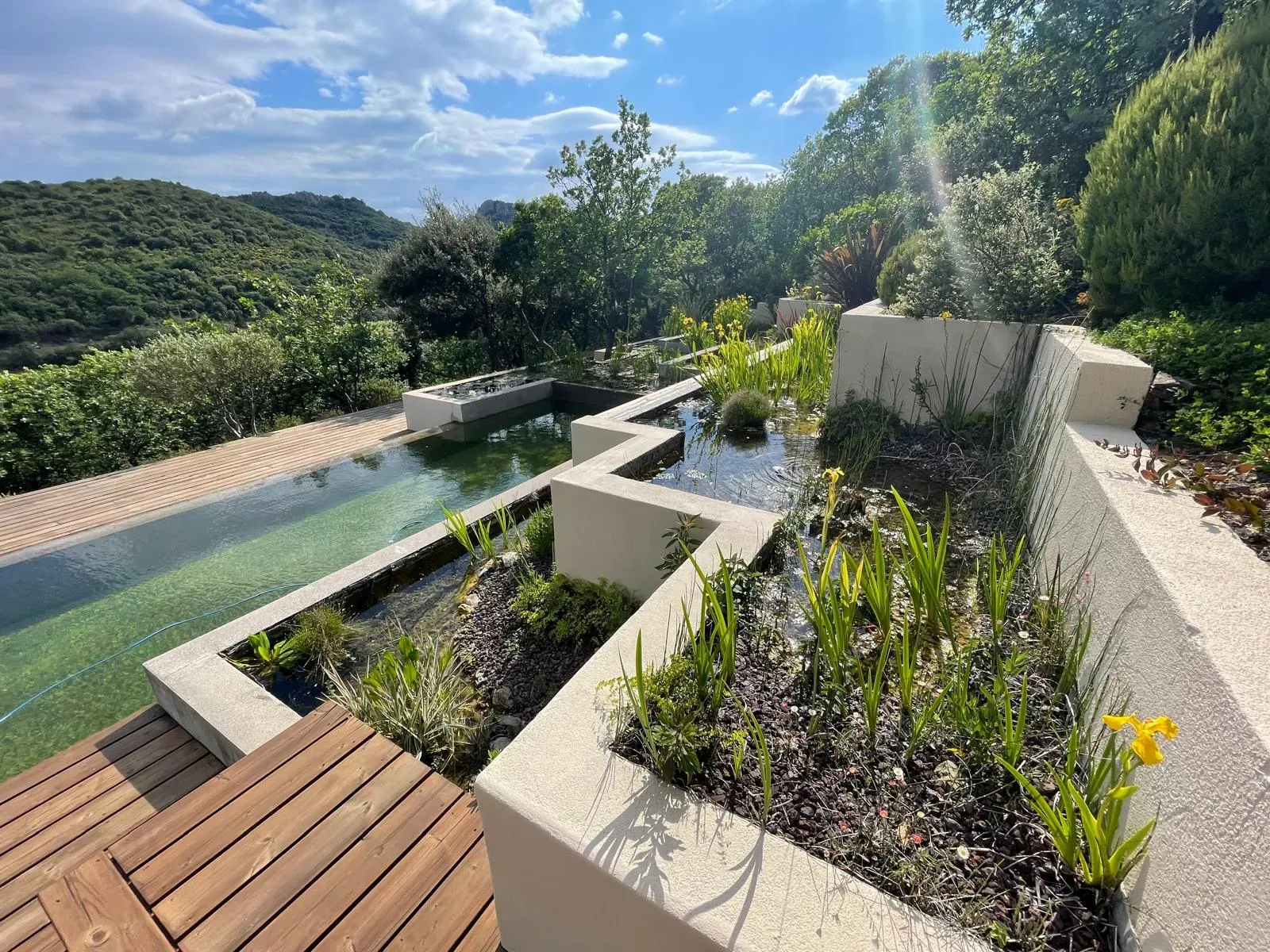 Rénovation de piscine naturellewebp