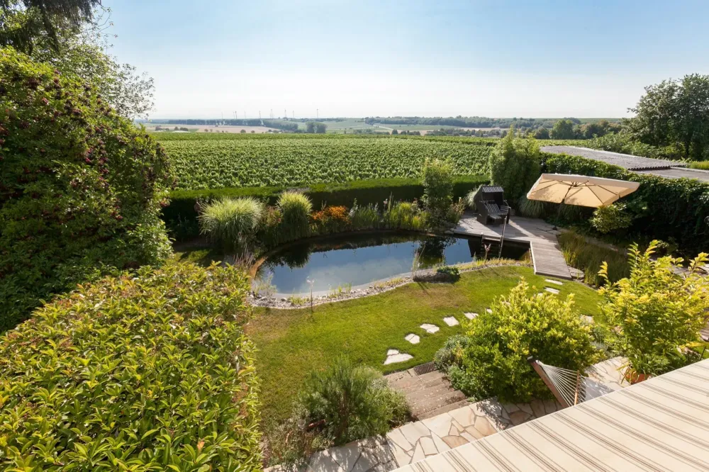 Jardin aquatique
