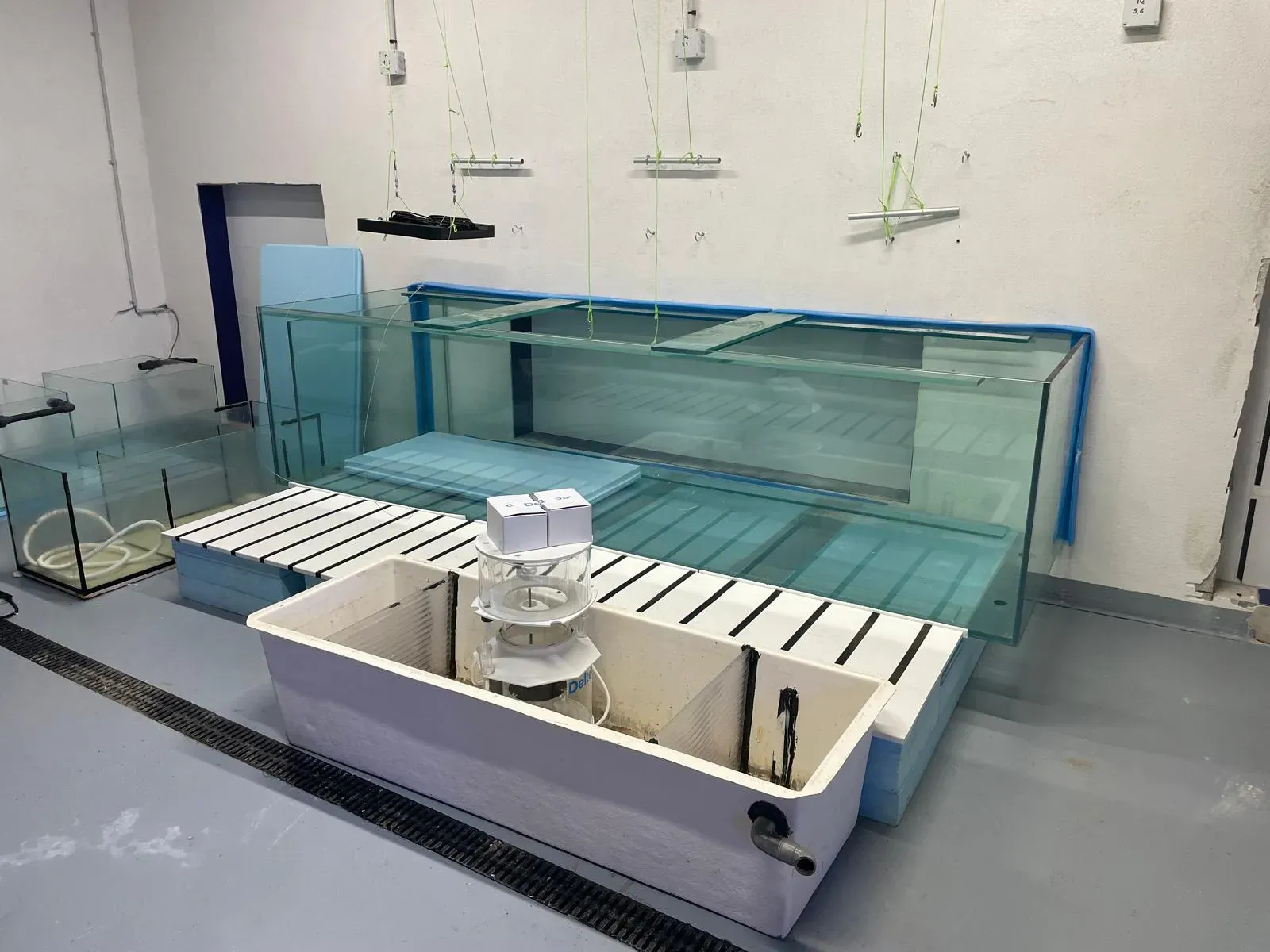 Location d’aquarium pour événements et professionnwebp Location d’aquarium pour événements et professionnwebp