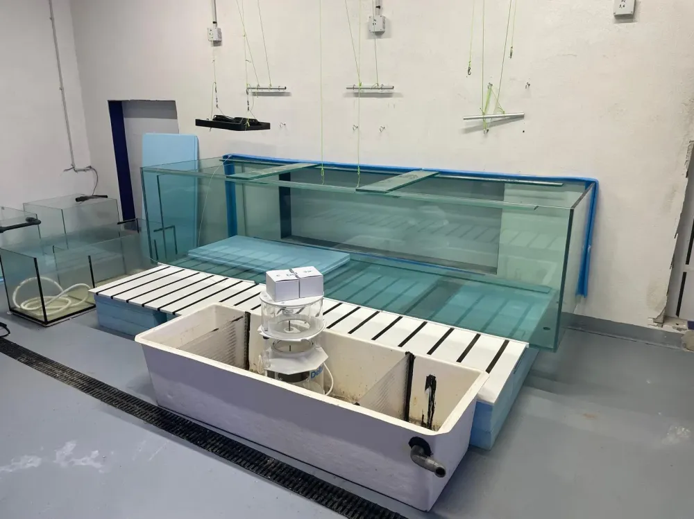 Location d’aquarium pour événements et professionnwebp