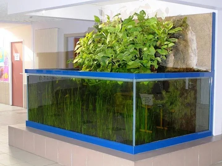 aquarium dans l'Héraultwebp aquarium dans l'Héraultwebp