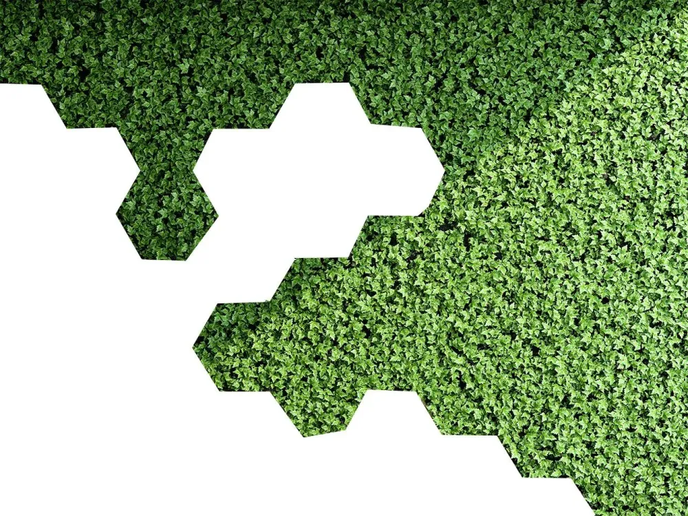 fabrication de Murs végétauwebp